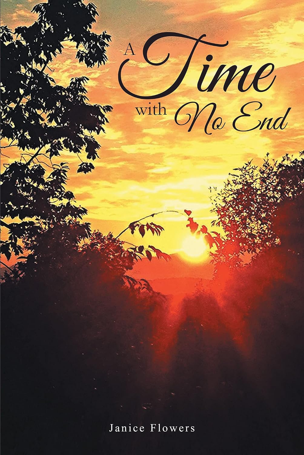 A Time With No End by Janice Flowers